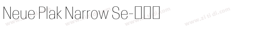 Neue Plak Narrow Se字体转换